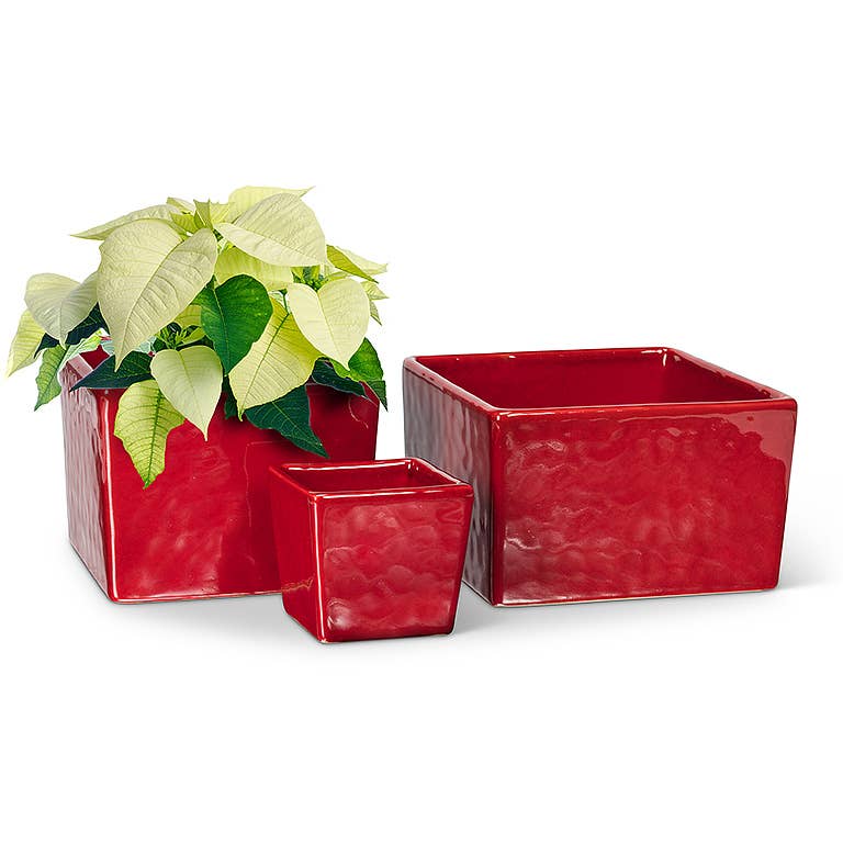 Md Low Square Planter-Red-5.5" Sq