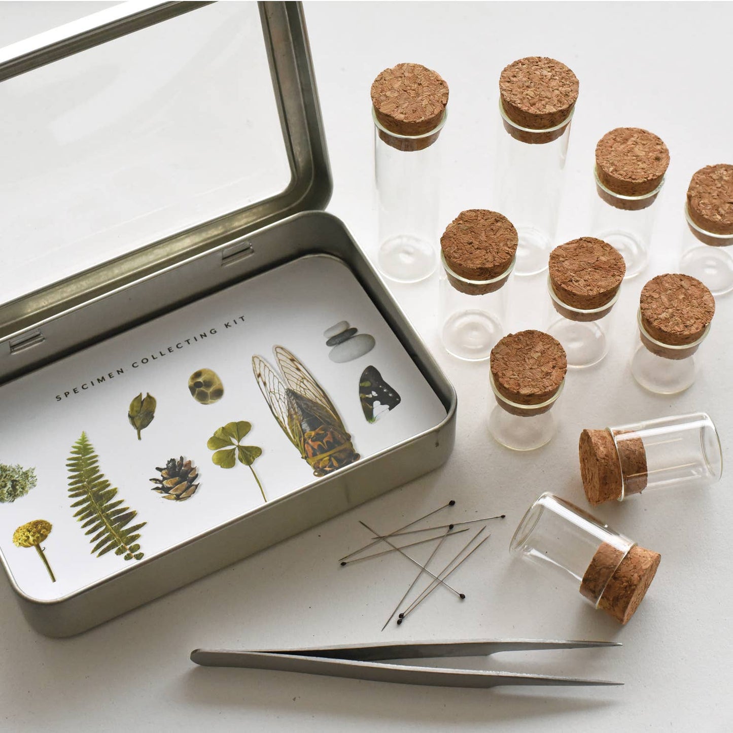 Specimen Collecting Kit: 5.5x3.75x1, kit