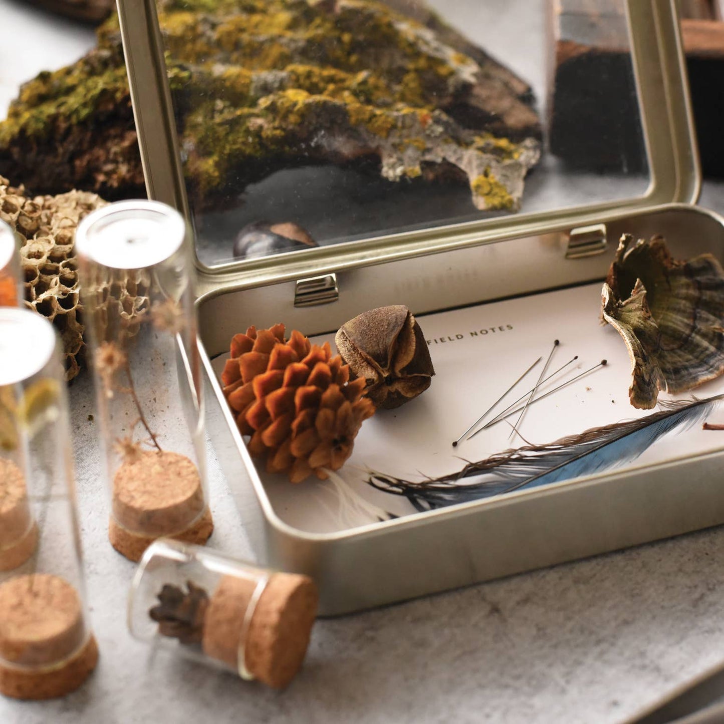 Specimen Collecting Kit: 5.5x3.75x1, kit