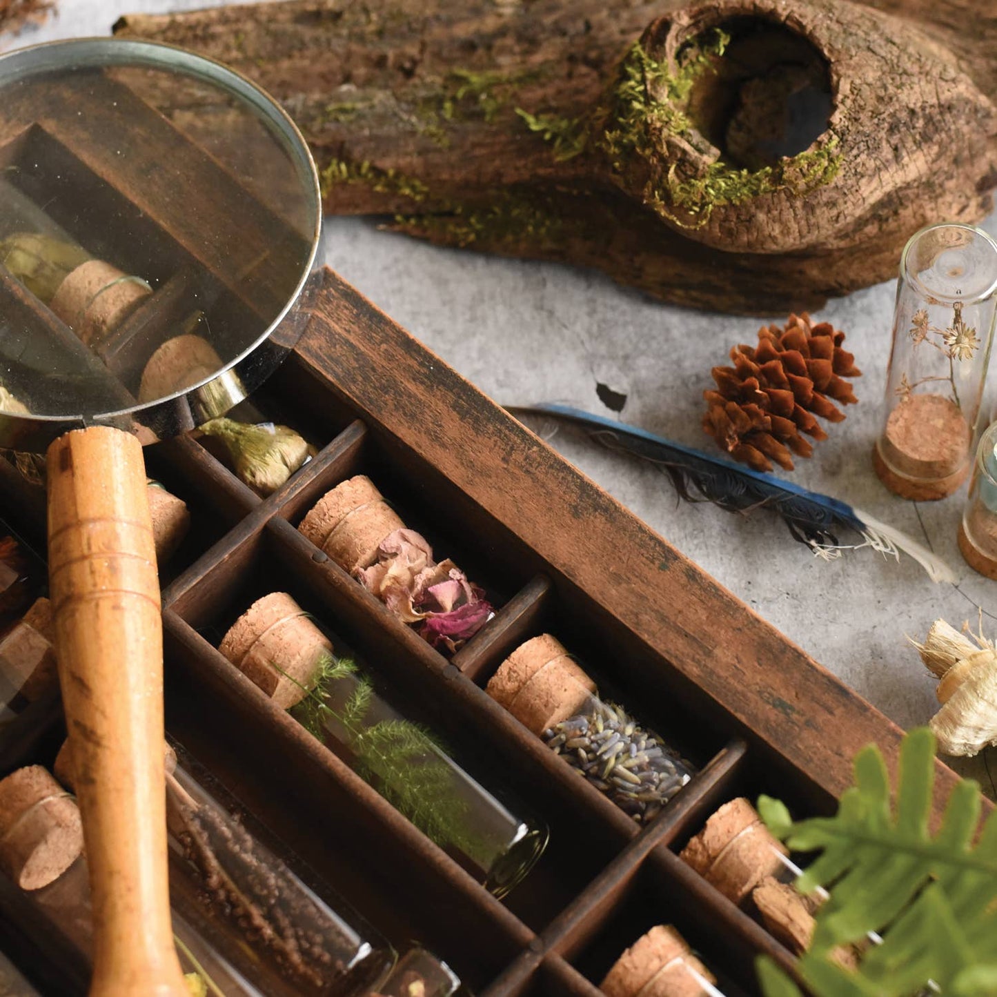 Specimen Collecting Kit: 5.5x3.75x1, kit
