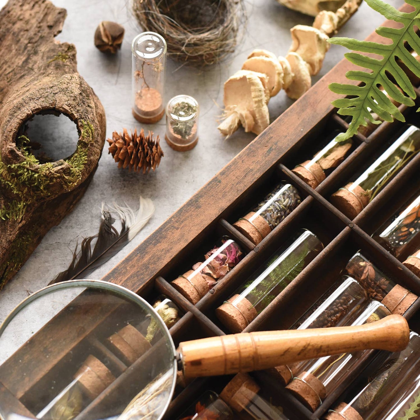 Specimen Collecting Kit: 5.5x3.75x1, kit