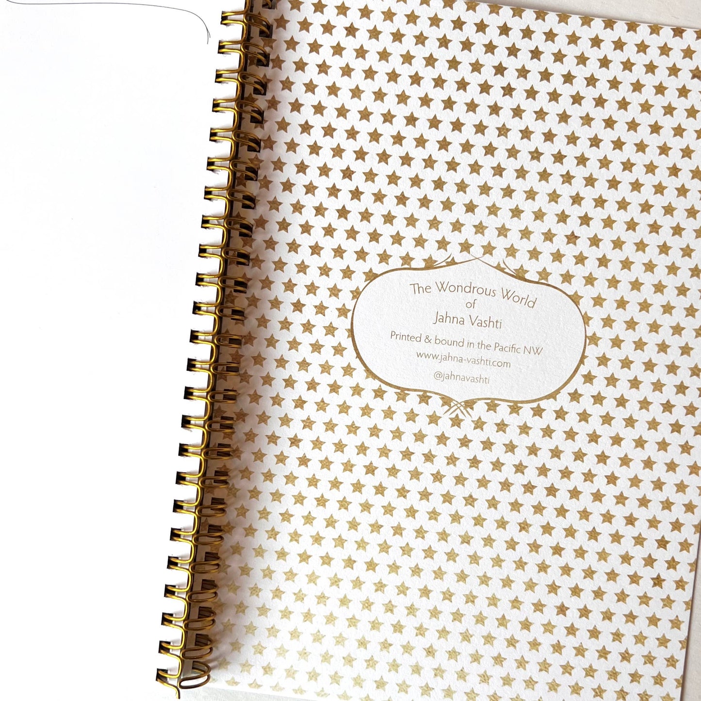 Star Fox Journal / 100 pages / lined & blank pages