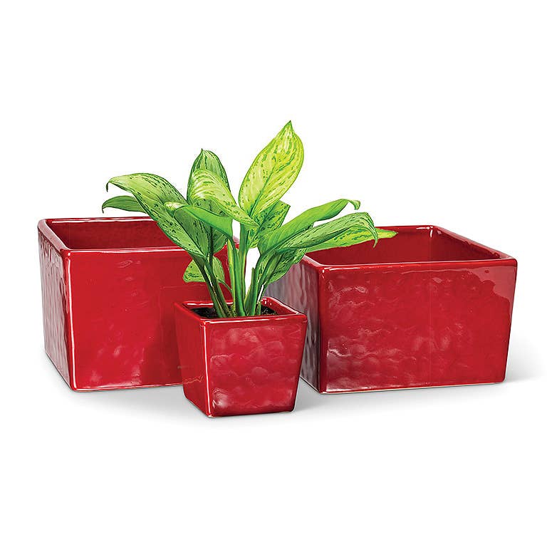 Md Low Square Planter-Red-5.5" Sq