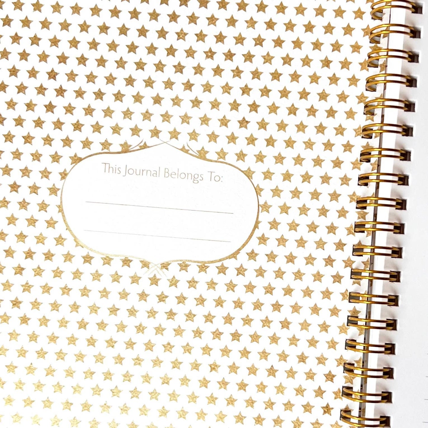 Star Fox Journal / 100 pages / lined & blank pages