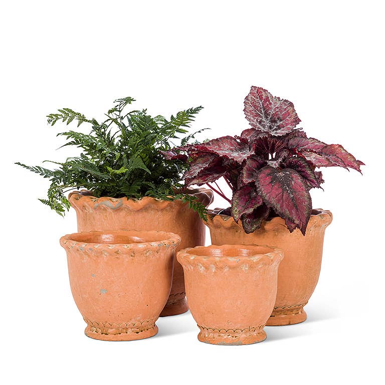 XS Rd Ruffled Planter-4.5"H
