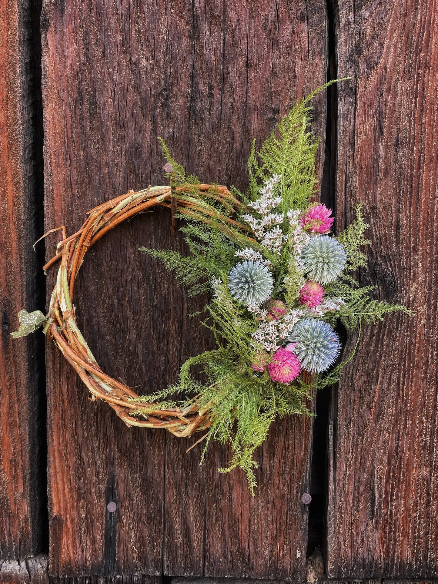 The Wee Yin Small Dried Flower Wreath- Fern and Echinops