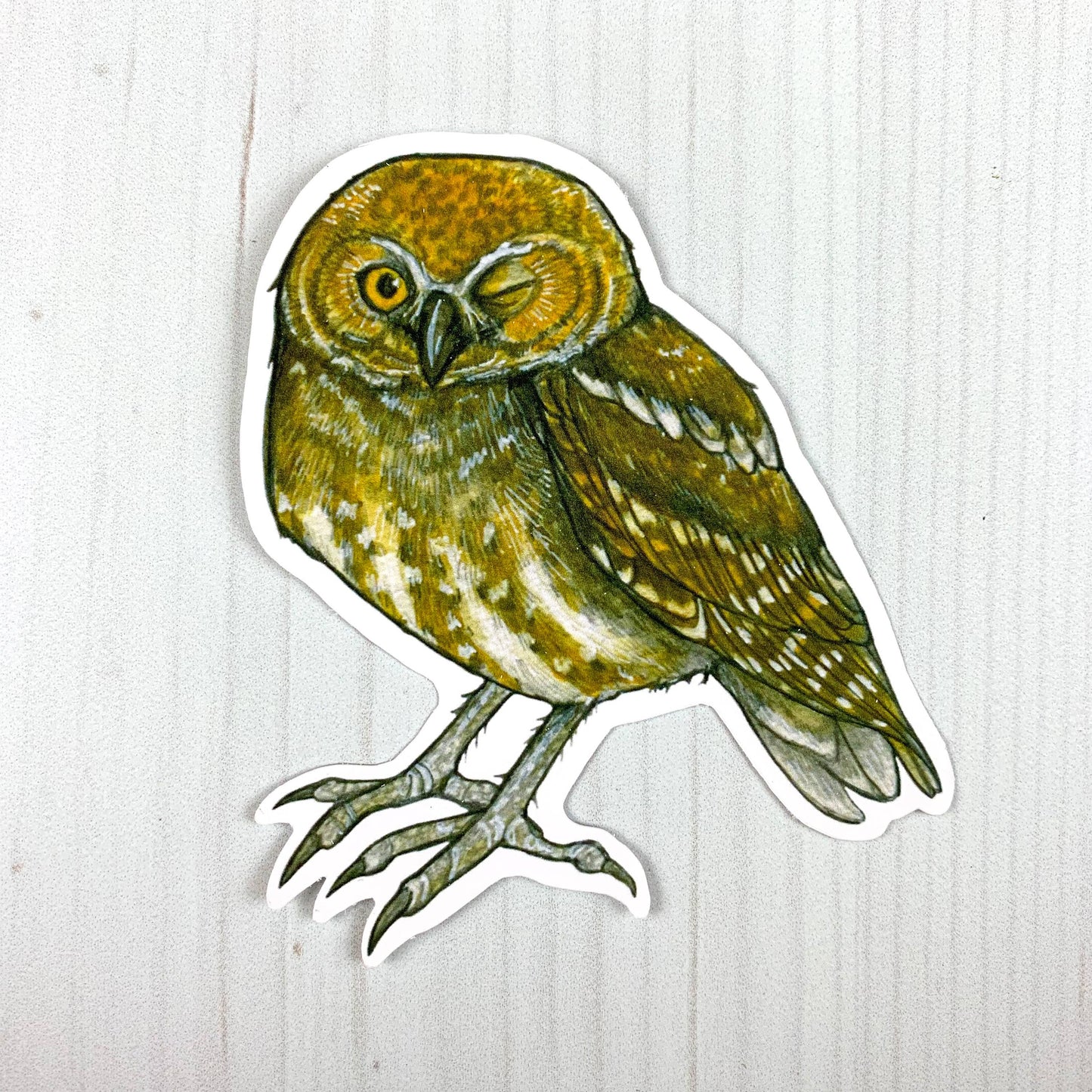 Elf Owl Vinyl Sticker