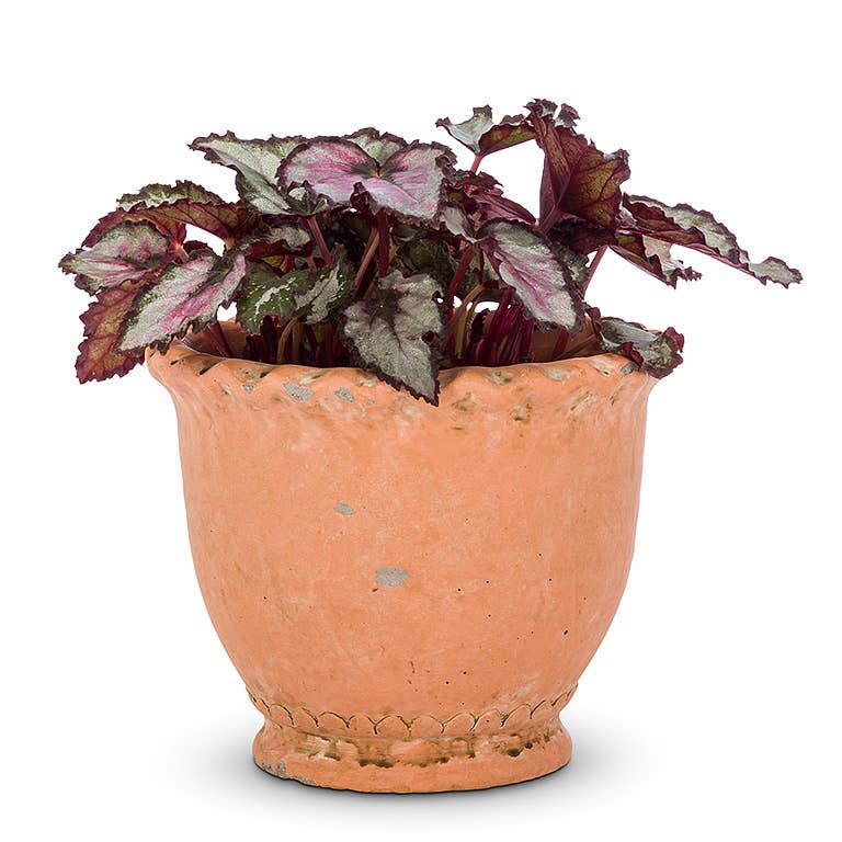 Sm Rd Ruffled Planter-5"H