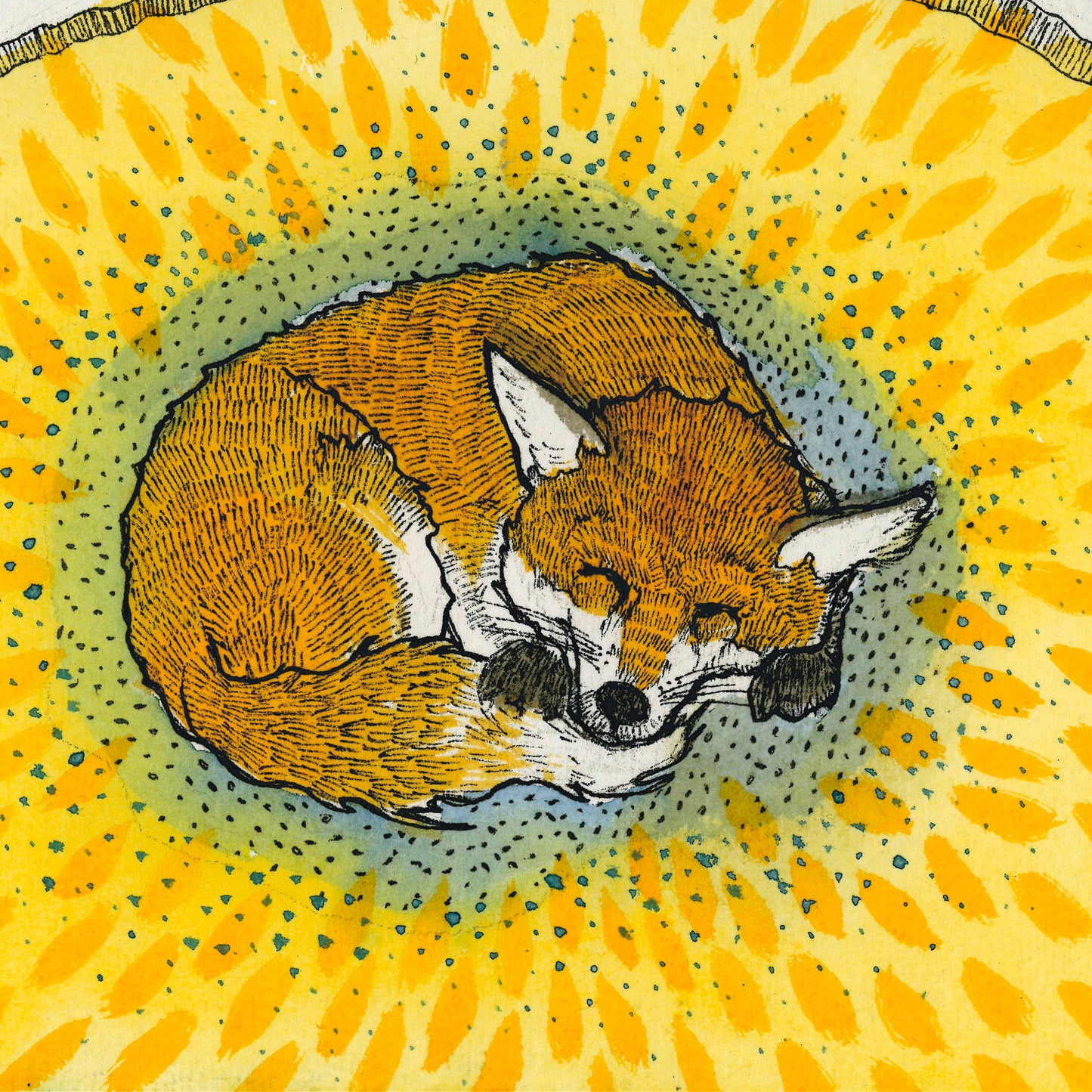 Sleeping Fox - 8x10" Archival Print