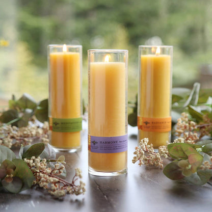 Beeswax Aromatherapy Sanctuary Glasses