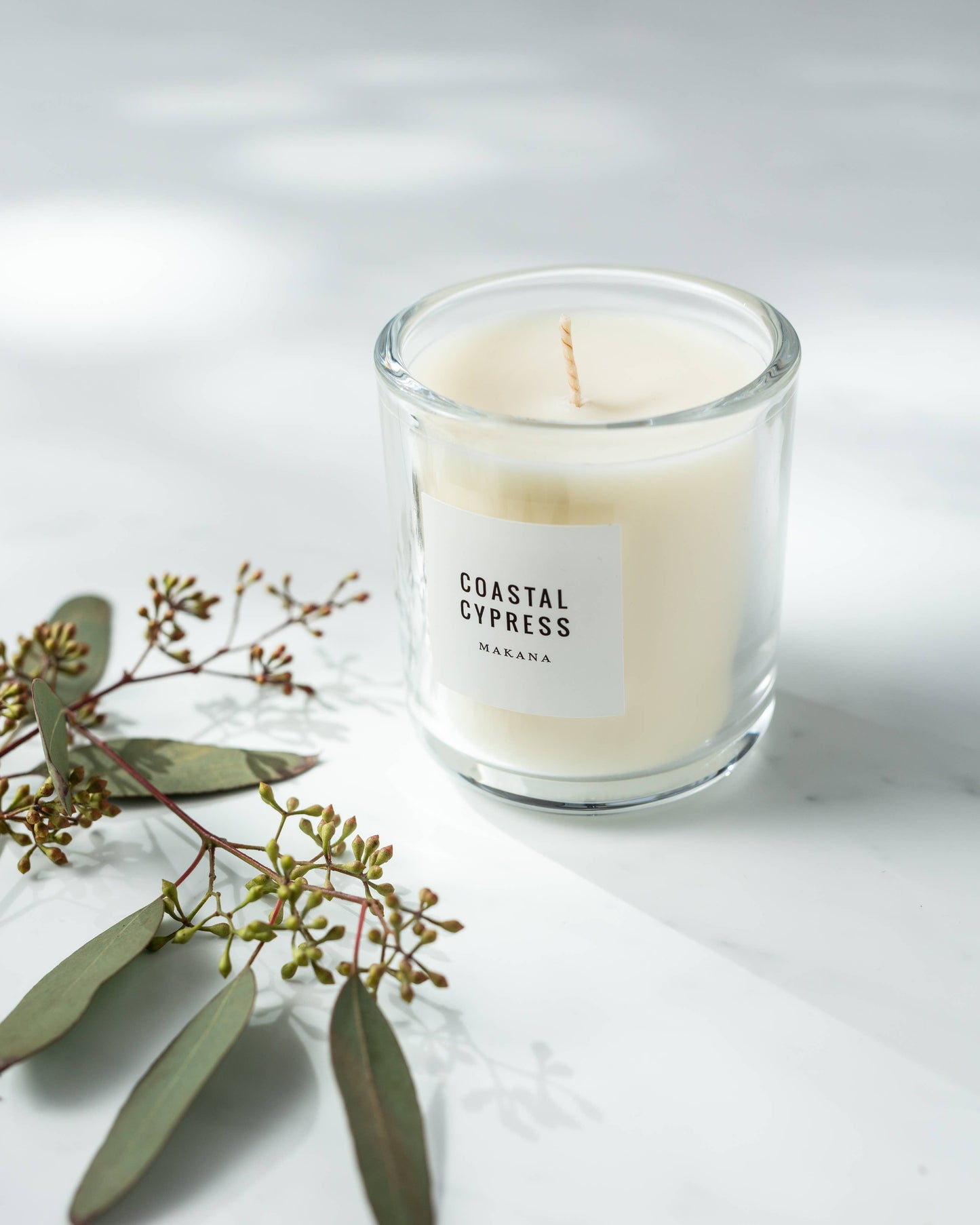 Coastal Cypress - Classic Candle 10 oz: 10 oz