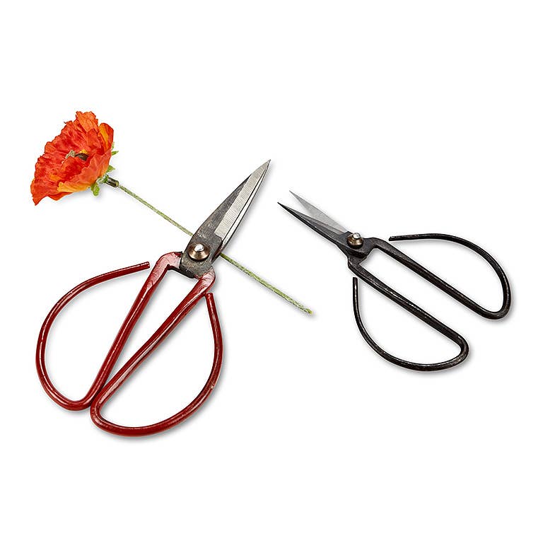 Medium Flower Stem Shears - 3 Asst Colors - 7" L