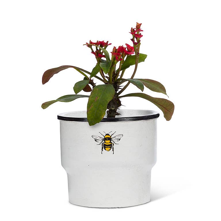 Small Rimmed Planter w/Solo Bee-2.5"