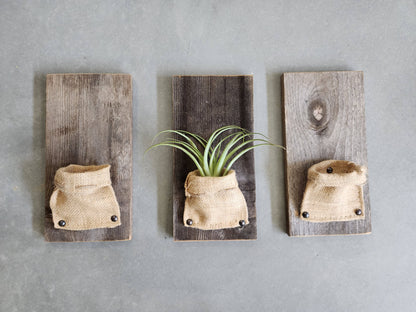 Burlap & Wood Wall Planter (Air Plants Included)