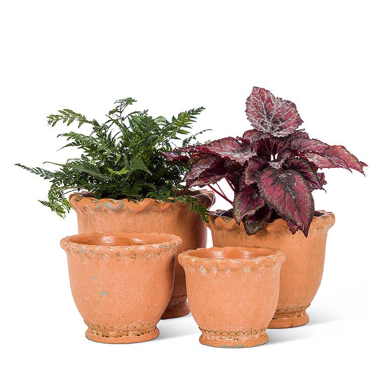 XS Rd Ruffled Planter-4.5"H