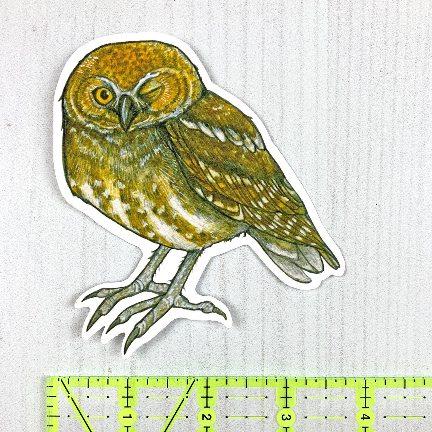 Elf Owl Vinyl Sticker